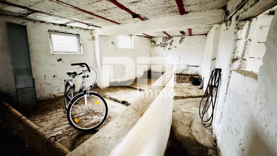 Wohnhausensemble auf großem Grundstück mit Nebengebäuden als langfristige Kapitalanlage - Nebengebäude 2 / Halle / Stall